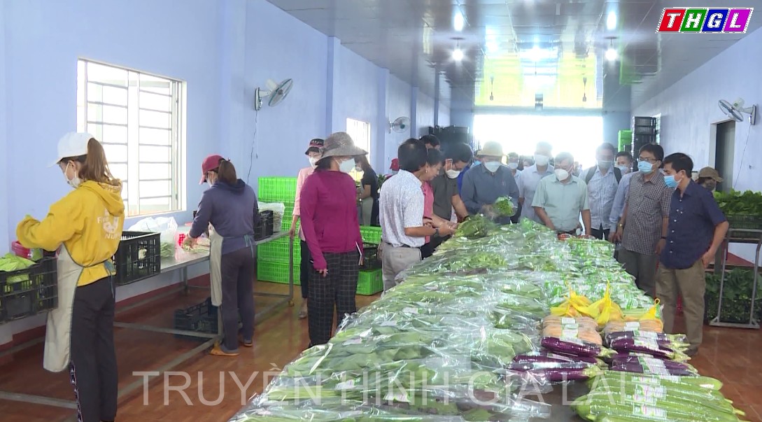 HĐND tỉnh giám sát kết quả thực hiện tái cơ cấu ngành Nông nghiệp tại thành phố Pleiku