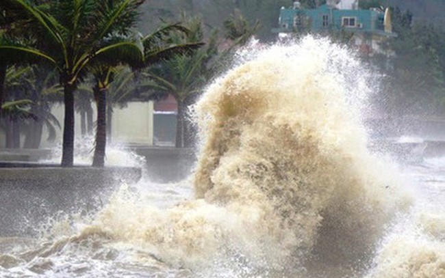 Thủ tướng Chính phủ yêu cầu tập trung ứng phó khẩn cấp với bão số 4