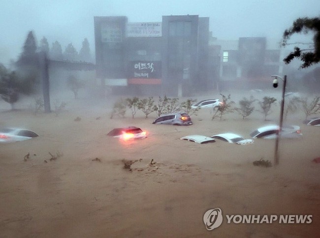 Siêu bão Hinnamnor gây thiệt hại lớn tại Hàn Quốc