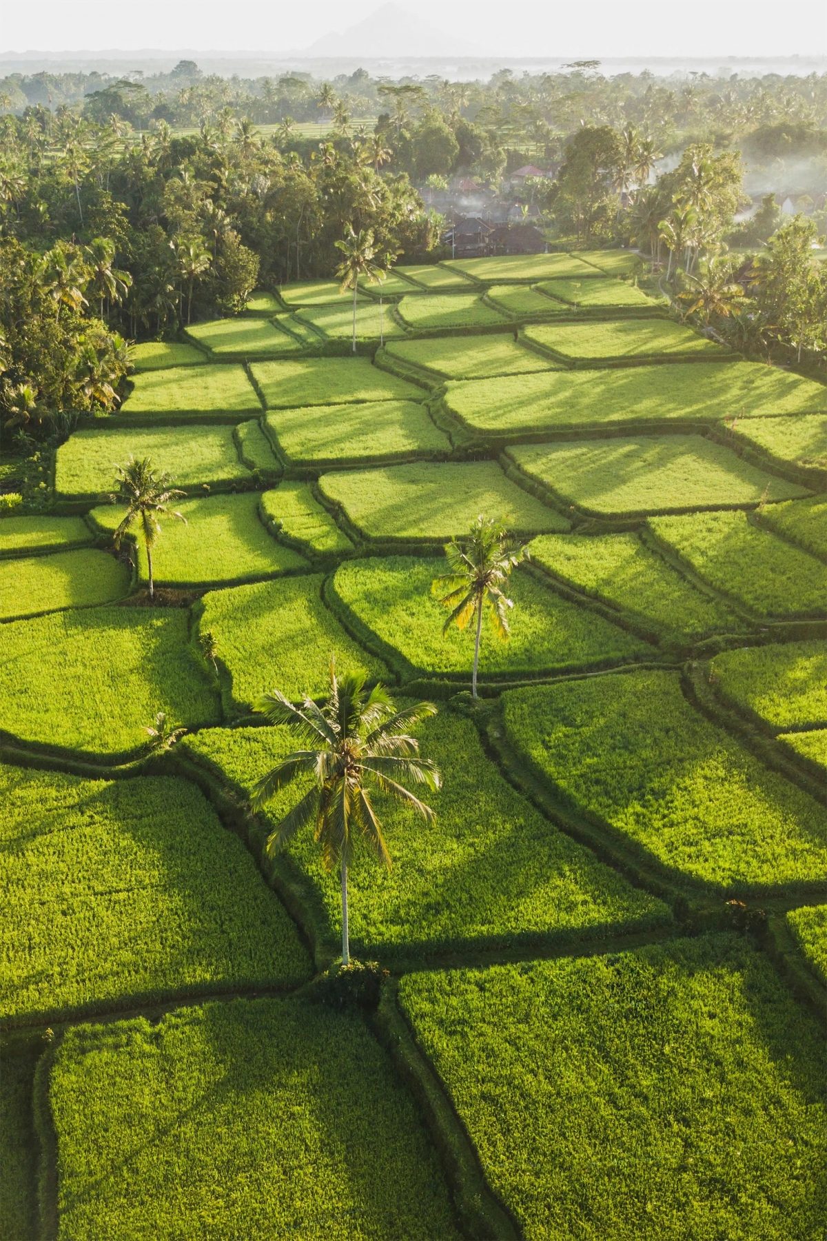 Những bức ảnh ấn tượng khiến bạn lập tức muốn đến Bali