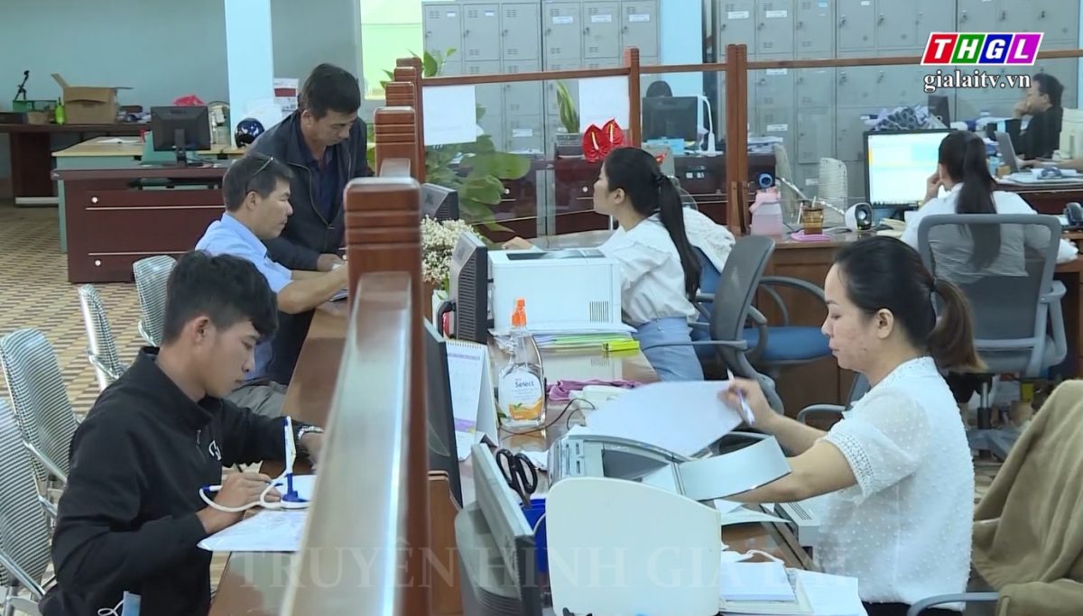 Trung tâm Dịch vụ việc làm tỉnh Gia Lai triển khai hiệu quả hoạt động giải quyết việc làm gắn với bảo hiểm thất nghiệp