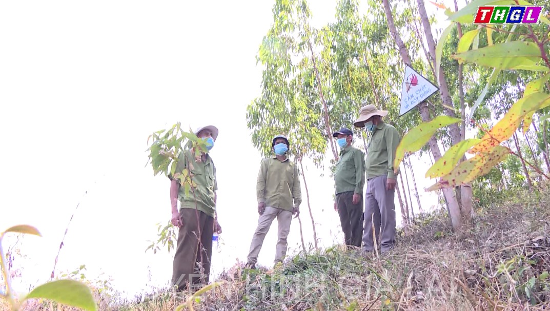Từ năm 2017 đến nay tỉnh Gia Lai tổ chức gần 1.000 đợt tuyên truyền, phổ biến pháp luật về công tác quản lý, bảo vệ và phát triển rừng