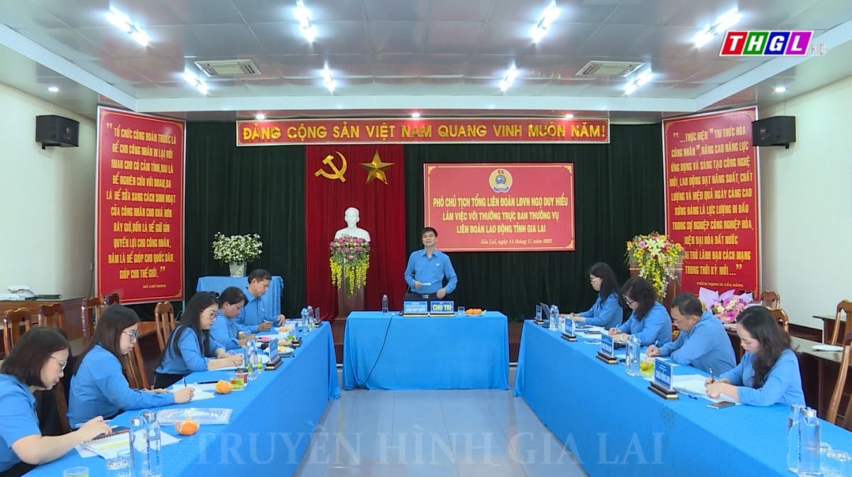 Phó Chủ tịch Tổng LĐLĐ Việt Nam làm việc với Thường trực, Ban Thường vụ LĐLĐ tỉnh Gia Lai