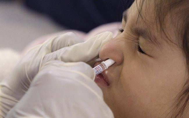 Australia phát triển vaccine ngừa COVID-19 dạng nhỏ mũi