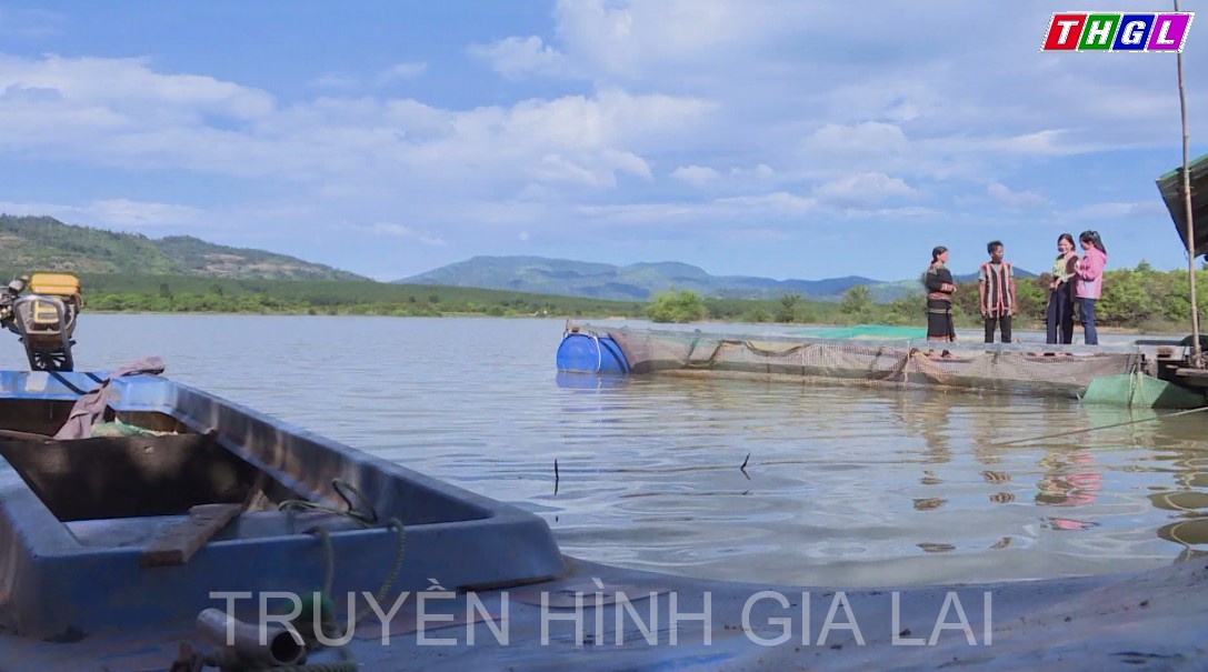 Huyện Ia Grai: Diện tích khai thác và nuôi trồng thủy sản là hơn 405 ha