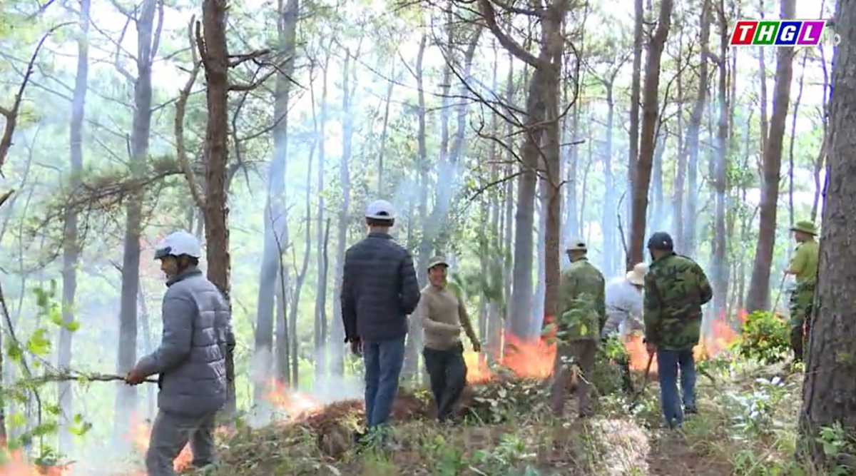 Gia Lai tăng cường phòng chống cháy rừng trong thời kỳ cao điểm của mùa khô