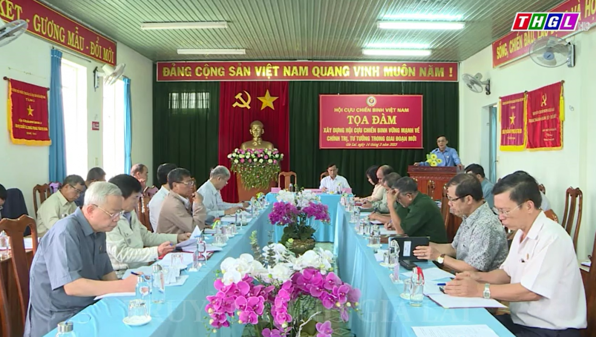 Tọa đàm về “Xây dựng Hội Cựu chiến binh Việt Nam vững mạnh về chính trị, tư tưởng trong giai đoạn mới”