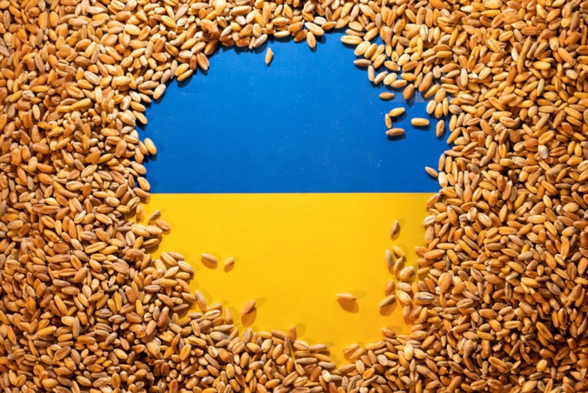 EU phản đối các lệnh cấm ngũ cốc Ukraine của Ba Lan và Hungary