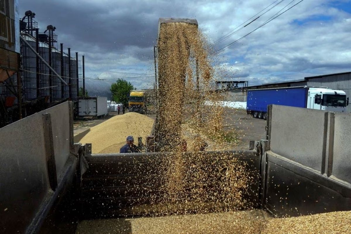 Slovakia cấm nhập khẩu ngũ cốc và các sản phẩm nông nghiệp khác của Ukraine