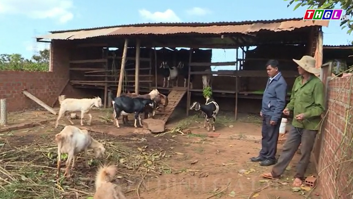 Chư Prông phát huy hiệu quả mô hình nông hội, tổ hội nghề nghiệp ở các làng