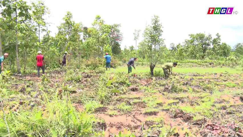 Xã Ia Pnôn đẩy mạnh trồng rừng tập trung