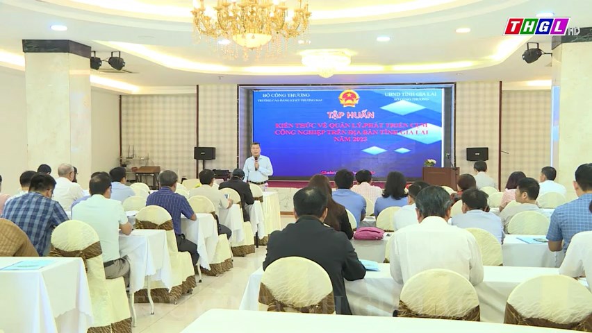 Tập huấn kiến thức về quản lý, phát triển cụm công nghiệp trên địa bàn tỉnh Gia Lai