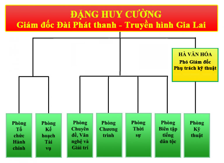 Cơ cấu tổ chức