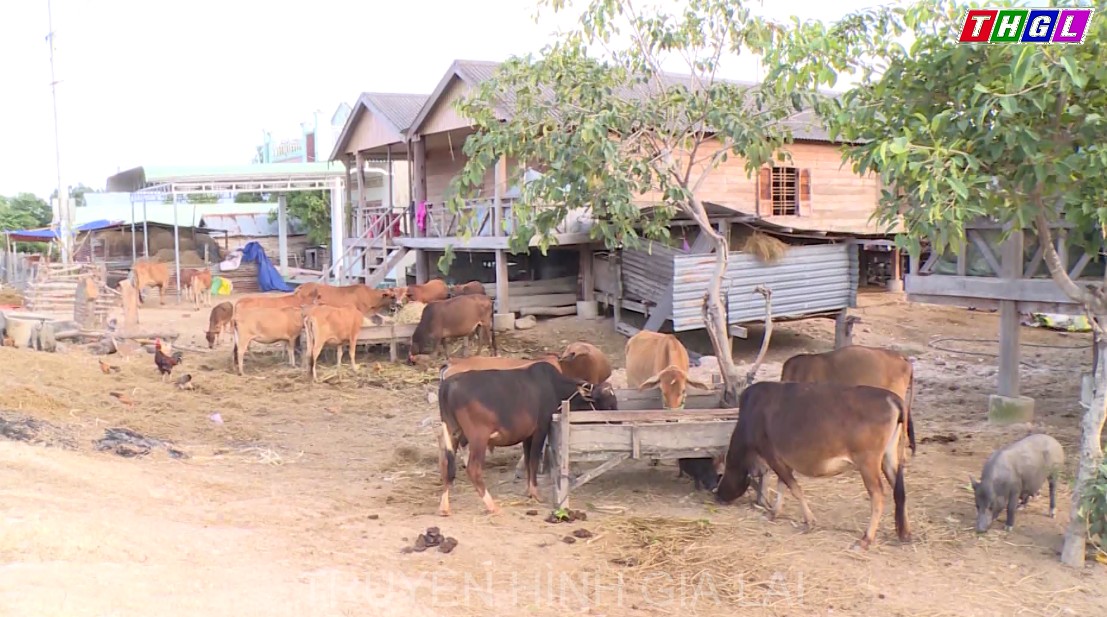 Gia Lai – Chiến lược công tác dân tộc đã mang lại nhiều kết quả tích cực