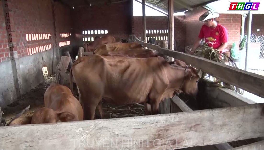 Tổng dư nợ do Đoàn thanh niên quản lý hơn 756 tỷ đồng