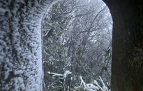 Băng giá ở Cao Bằng, Lạng Sơn trong giá lạnh dưới 0 độ C