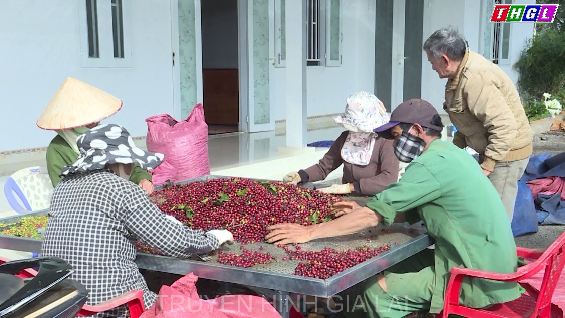 Kbang từng bước nâng cao chất lượng hoạt động các hợp tác xã