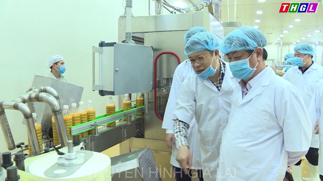 Gia Lai tiếp tục triển khai các giải pháp nhằm tạo đột phá trong sản xuất công nghiệp