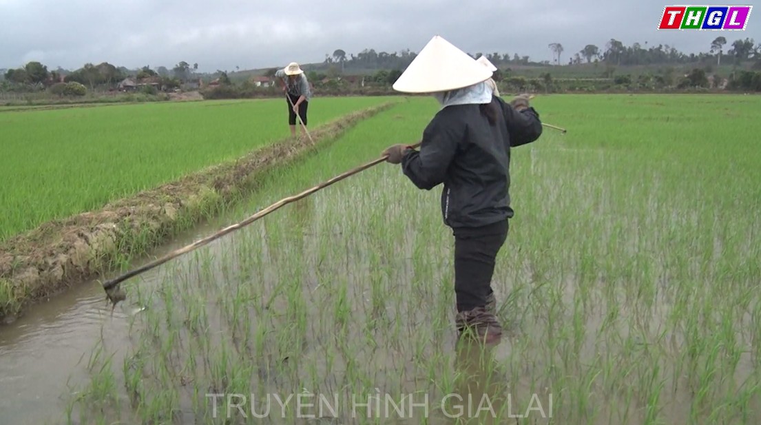 Xã Sơ Pai, huyện Kbang hoàn thành 19 tiêu chí Nông thôn mới