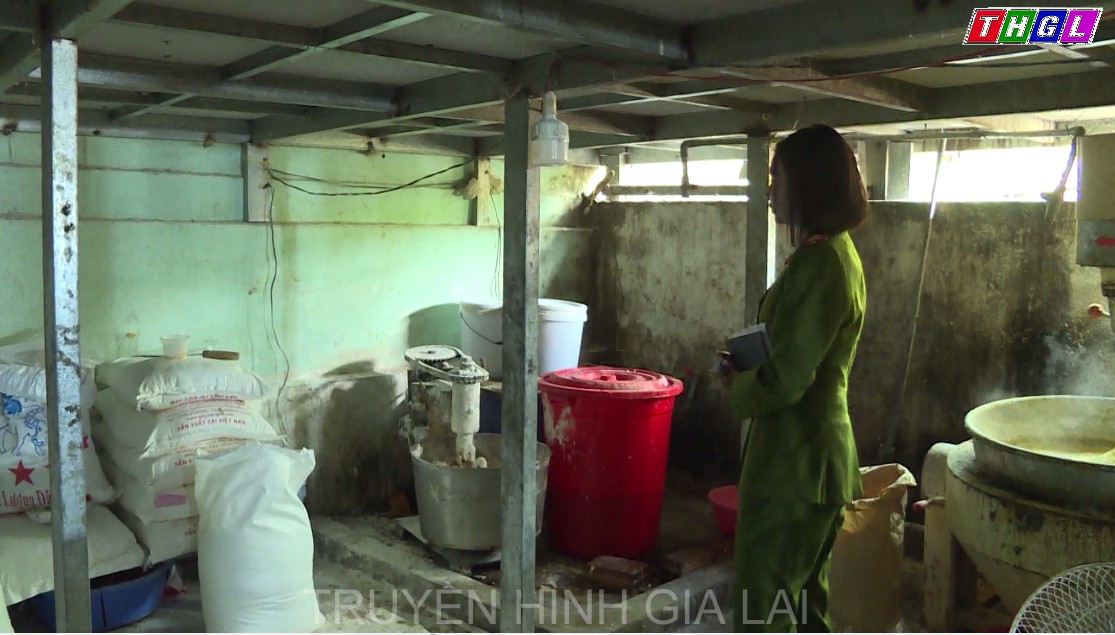 Gia Lai kiểm tra đột xuất các cơ sở sản xuất, chế biến, kinh doanh thực phẩm