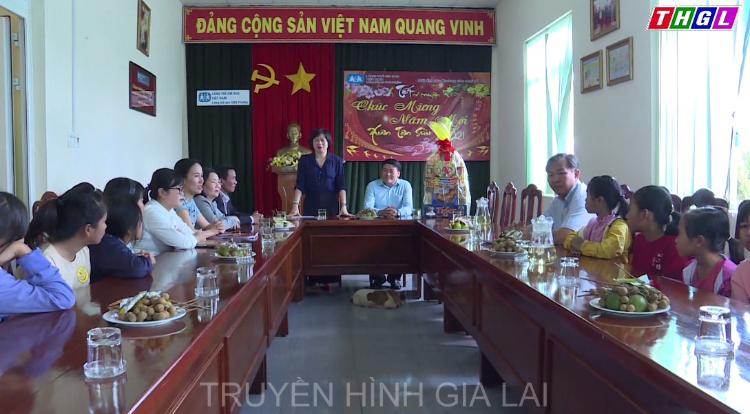 Đồng chí Phạm Thị Tố Hải-Bí thư Đảng ủy Khối các Cơ quan và Doanh nghiệp tỉnh thăm,   chúc Tết tại Làng Trẻ em SOS Pleiku, Trung tâm Bảo trợ xã hội tổng hợp tỉnh và các đồng chí nguyên lãnh đạo tỉnh qua các thời kỳ.