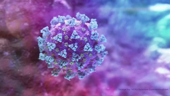 Đợt bùng phát dịch COVID-19 ở Vũ Hán năm 2019 có quy mô lớn hơn ước tính