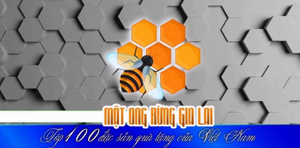 Mật ong rừng Gia Lai – Top 100 đặc sản quà tặng của Việt Nam