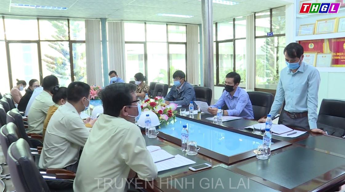 Kiểm tra công tác chỉ đạo, điều hành và thực hiện các biện pháp phòng, chống dịch Covid-19 tại thị xã An Khê và huyện Mang Yang