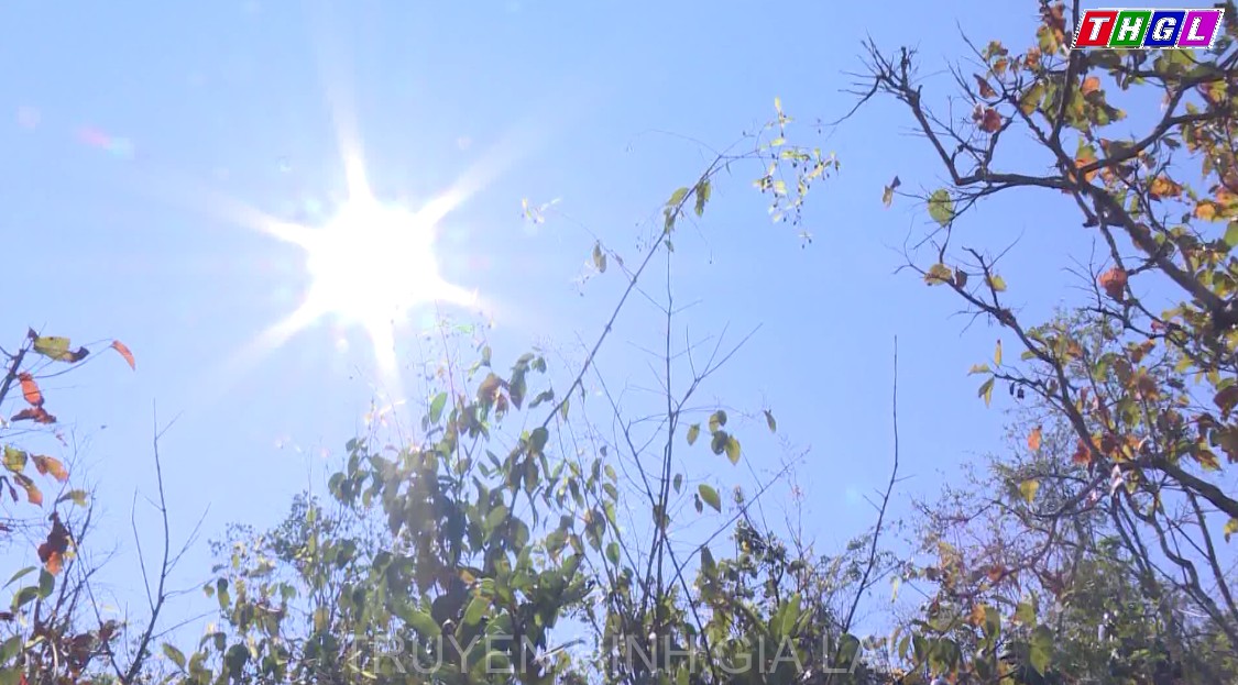 Chư Sê chủ động phòng, chống cháy rừng cao điểm mùa khô