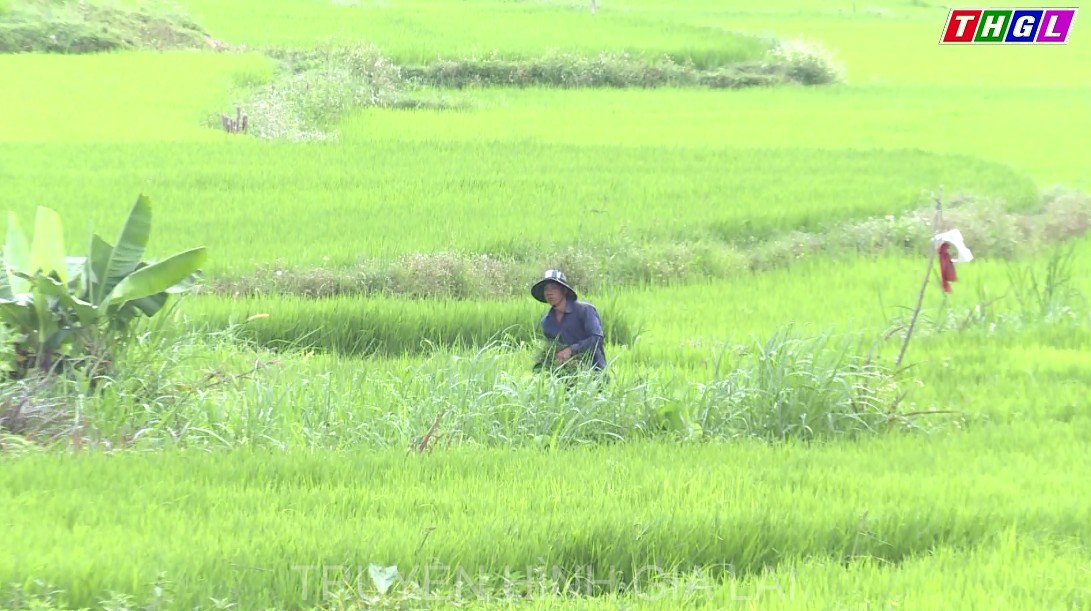  Đảm bảo nước tưới cho cây trồng vụ Đông Xuân 2021.