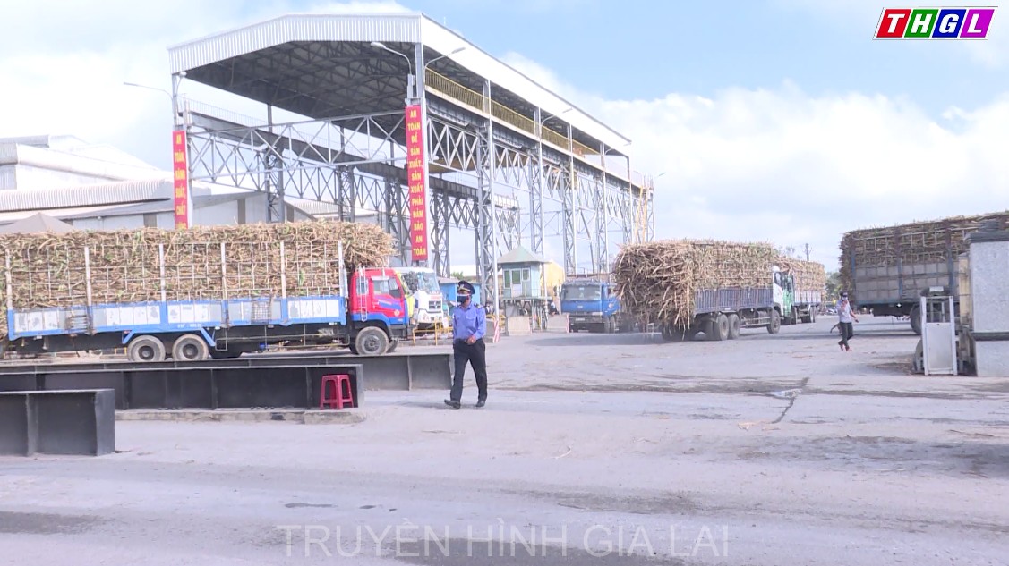 Đảm bảo việc làm cho lao động sau Tết trước ảnh hưởng của dịch bệnh Covid-19