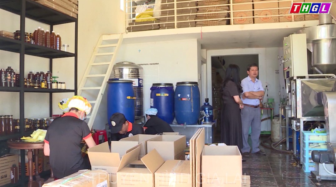 Nông dân Gia Lai nỗ lực xây dựng sản phẩm đặc trưng