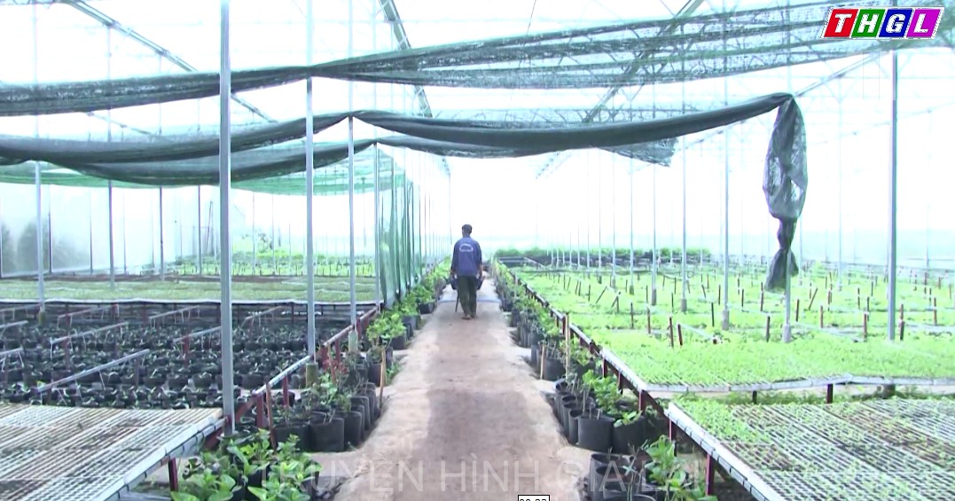 Đề xuất hỗ trợ 68 tỷ đồng phát triển hợp tác xã giai đoạn 2021-2025 trên địa bàn tỉnh