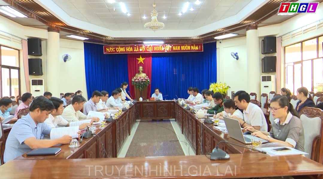 Thành phố Pleiku triển khai kế hoạch tổ chức Đại Hội thể dục thể thao lần thứ IX- 2021