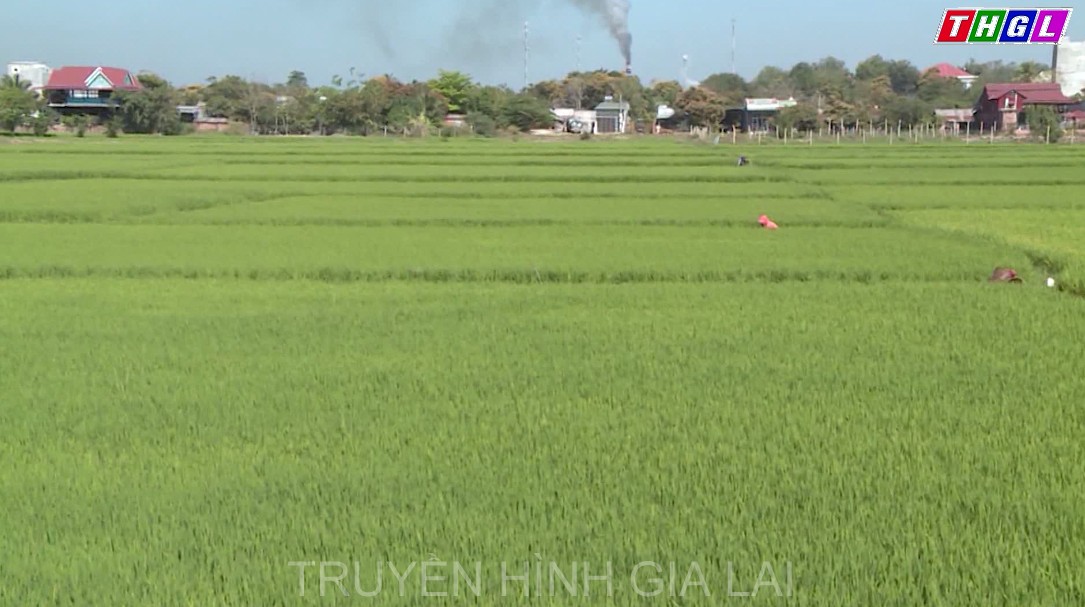 Nâng cao hiệu quả sử dụng tài nguyên nước