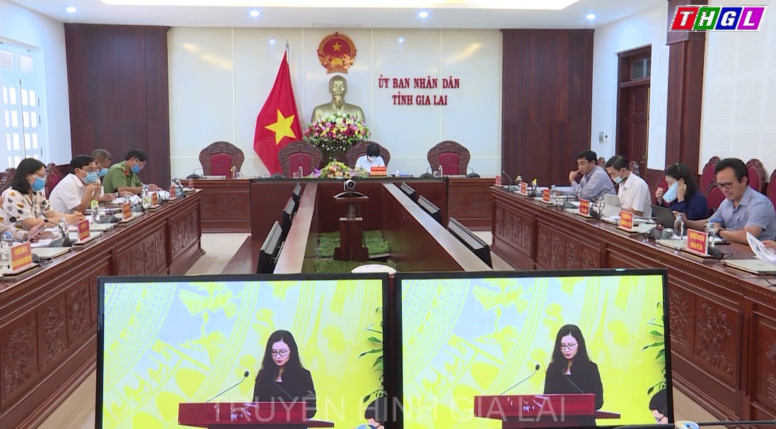 Giao ban trực tuyến toàn quốc công tác phi chính phủ nước ngoài năm 2020.