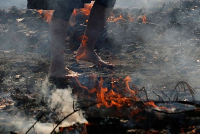 Kỳ lạ, lễ hội “đi chân trần qua than cháy” để cầu bình an ở Nhật Bản