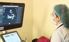 Những tấm gương phụ nữ “Giỏi việc nước, đảm việc nhà”