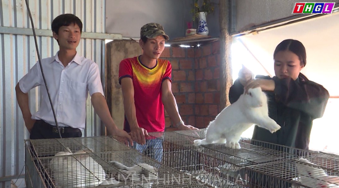 Cần đầu ra ổn định cho mô hình chăn nuôi thỏ