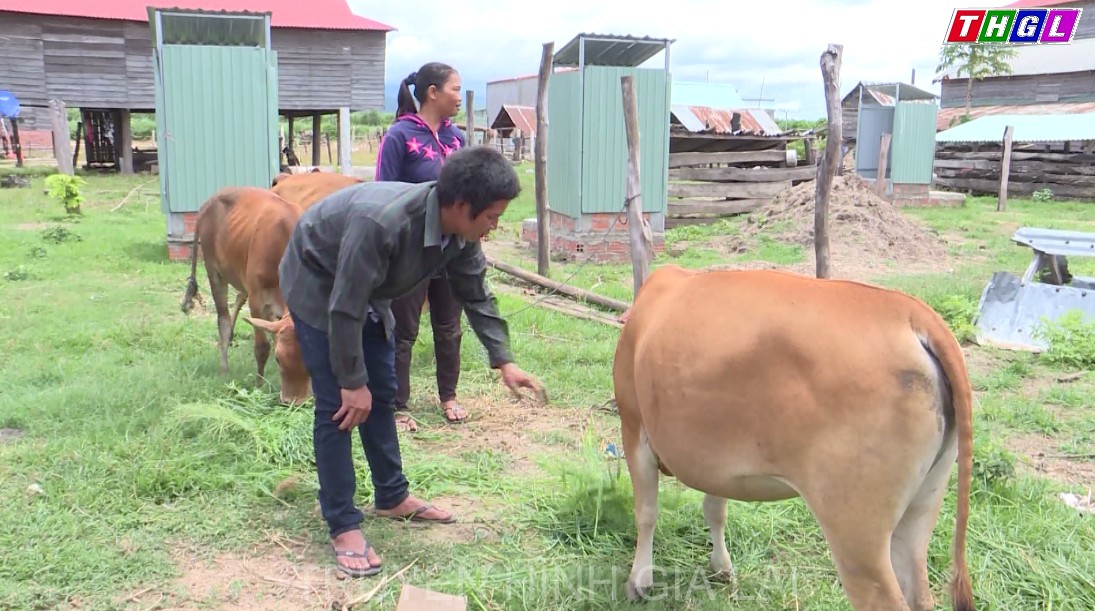 Thanh niên Gia Lai chung tay xây dựng làng nông thôn mới