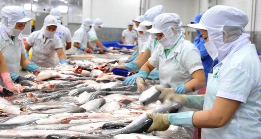 Đẩy mạnh kích cầu tiêu thụ nội địa cá tra