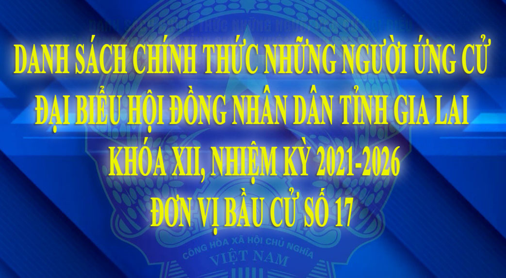 Danh sách chính thức những người ứng cử đại biểu HĐND tỉnh Gia Lai khóa XII nhiệm kỳ 2021-2026 ở đơn vị bầu cử số 17