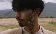 Đen Vâu sắp ra MV mới, toàn cừu, cào cào và cây cỏ