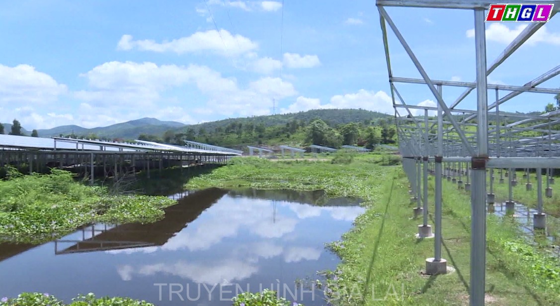 Các chủ trang trại điện mặt trời mái nhà mong muốn được cơ quan có thẩm quyền tạo điều kiện để tổ chức triển khai mô hình kinh tế trang trại