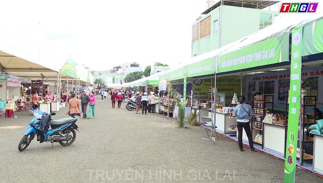 Gia Lai đẩy mạnh phát triển các sản phẩm dược liệu gắn với Chương trình OCOP