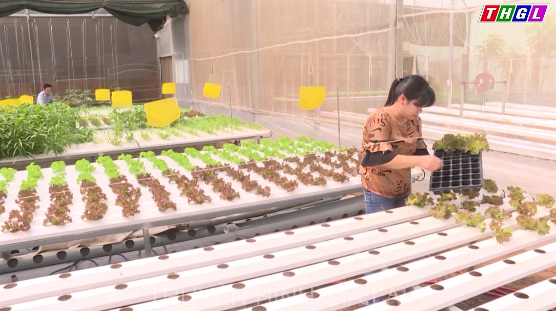 Chị Huỳnh Thị Ngọc Hiền – Đi đầu trong phong trào phụ nữ khởi nghiệp