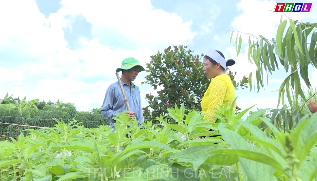 Đảng bộ xã Ia Lâu điểm sáng trong thực hiện học tập và làm theo gương Bác