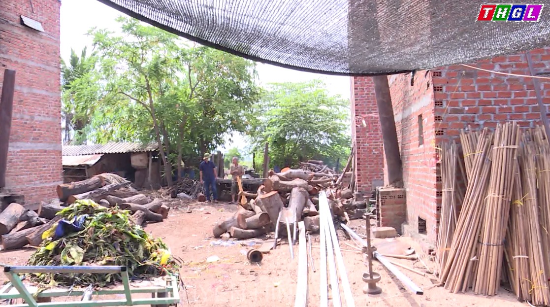 Huyện Ia Pa chấn chỉnh tình trạng sử dụng củi rừng tự nhiên sấy thuốc lá