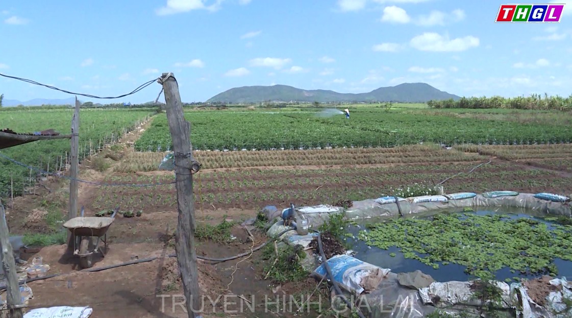 Khắc phục khó khăn do tác động dịch Covid – 19, Gia Lai quyết tâm hoàn thành các chỉ tiêu tăng trưởng kinh tế trong năm 2021