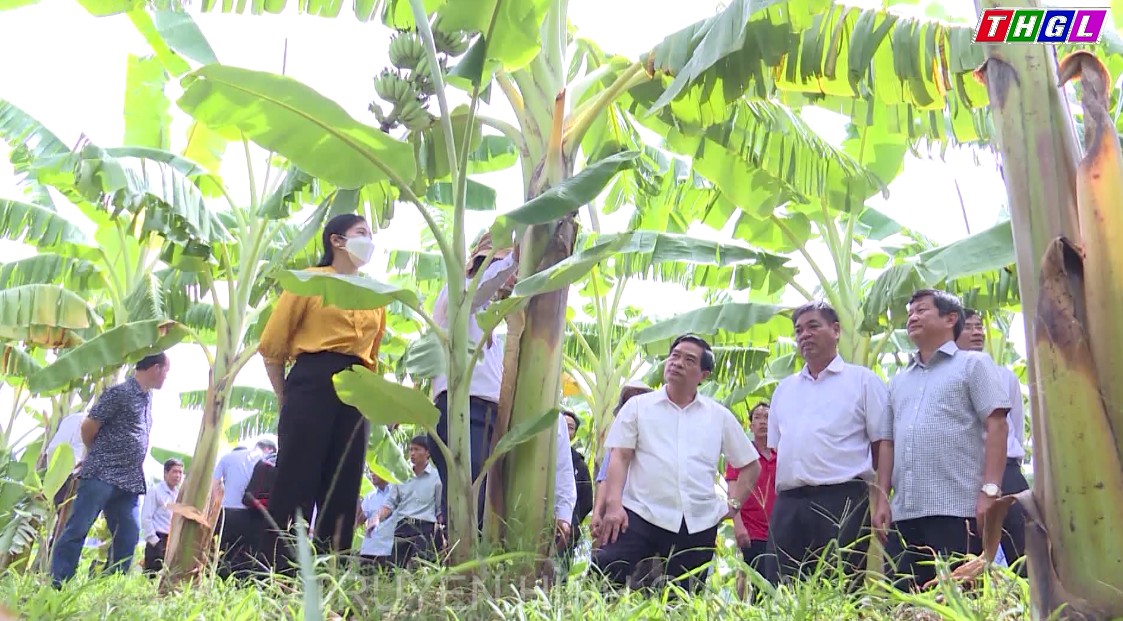 Gia Lai chú trọng đẩy mạnh đổi mới, sáng tạo, ứng dụng khoa học công nghệ